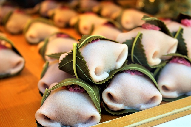 Japanese sweets wrapped in kashiwa leaves