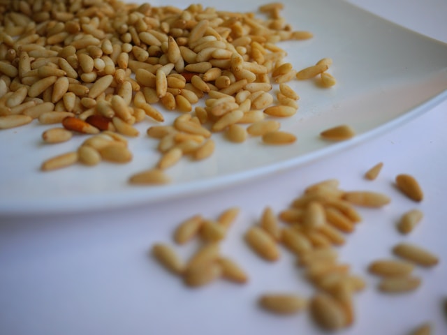 Pine nuts on a white ceramic plate