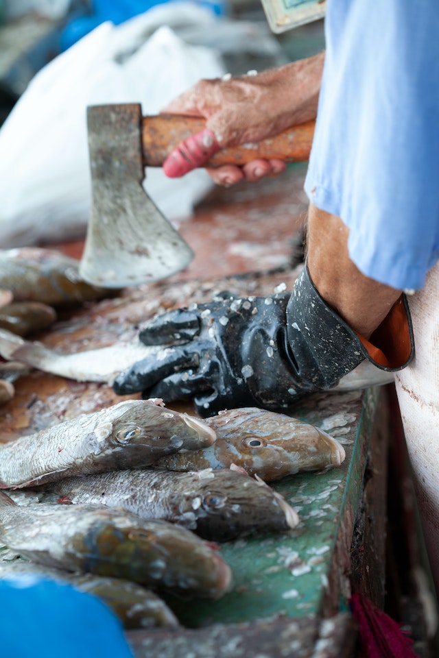 Person cleaning and chopping fishes